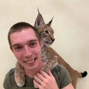 ���������� ���������, ���� ������� ������, 28 ���, ������������ ��� ������, ����� � ���������