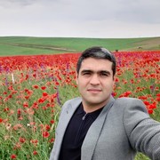  ,  Hesen, 39