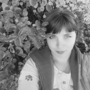  , Vlada