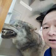 ���������� ������������, ���� ������� �����, 34 ����, ������������ ��� ������, ����� � ���������