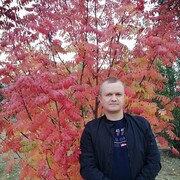 ���������� ����, ���� ������� �����, 41 ���, ������������ ��� ������, ����� � ���������, c�������� ���������, ���������