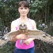 ���������� ���������, ���� ������� ��������, 48 ���, ������������ 