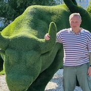 ���������� ������, ���� ������� ������, 49 ���, ������������ ��� ������, ����� � ���������, c�������� ���������