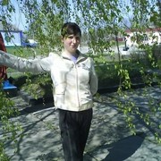 ���������� ����, ���� ������� �������, 33 ����, ������������ ��� ������, ����� � ���������, c�������� ���������