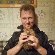 ���������� �����-���������, ���� ������� ������, 57 ���, ������������ 