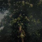 ���������� ����, ���� ������� ����, 43 ����, ������������ ��� ������, ����� � ���������, c�������� ���������, ���������