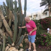  ,   , 65 ,   ,   , c 