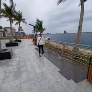 ���������� ���������, ���� ������� ����, 34 ����, ������������ ��� ������, ����� � ���������