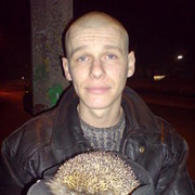 ���������� ��������, ���� ������� ����, 44 ����, ������������ ��� ������