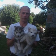 ���������� ������, ���� ������� ������, 64 ����, ������������ ��� ������, ����� � ���������