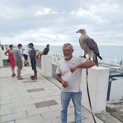  deleted,   , 55 ,   ,   