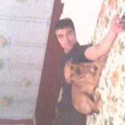 ���������� ��������, ���� ������� ������, 41 ���, ������������ ��� ������, ����� � ���������