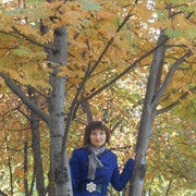 ���������� ����, ���� ������� �������, 36 ���, ������������ ��� ������, ����� � ���������, c�������� ���������