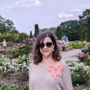 ���������� �����, ���� ������� �����, 56 ���, ������������ ��� ����� � ���������, c�������� ���������