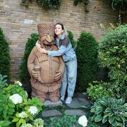 ���������� ���������, ���� ������� �����, 43 ����, ������������ ��� ����� � ���������, c�������� ���������, ���������