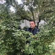 ���������� ������, ���� ������� ������, 47 ���, ������������ ��� ����� � ���������, c�������� ���������