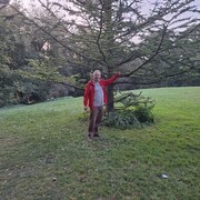 ���������� �������, ���� ������� ������, 55 ���, ������������ ��� ������, ����� � ���������