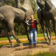  ,   , 53 ,   ,   , 