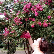 ���������� ��������, ���� ������� �����, 47 ���, ������������ ��� ������, ����� � ���������, c�������� ���������