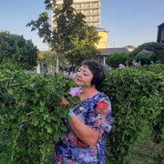 ���������� ���������, ���� ������� ����, 65 ���, ������������ ��� ������, ����� � ���������, c�������� ���������