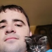 ���������� �����������, ���� ������� ������, 37 ���, ������������ ��� ������, ����� � ���������, c�������� ���������, ���������