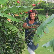 ���������� �����, ���� ������� �����, 62 ����, ������������ ��� ������, ����� � ���������, c�������� ���������