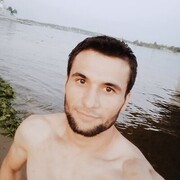 ,   Bobosha, 31 ,     , c 