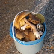  ,   , 43 ,   ,   , c 