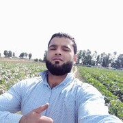 ���������� ���������, ���� ������� ������, 31 ���, ������������ ��� ������, ����� � ���������