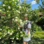 ���������� ������, ���� ������� �����, 50 ���, ������������ ��� ����� � ���������, c�������� ���������