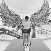 ���������� �����, ���� ������� ����, 37 ���, ������������ ��� ���������