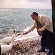  ,   , 56 ,   ,   