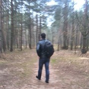  ,   , 31 ,   
