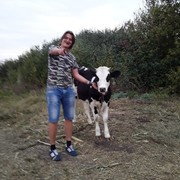  ,   , 36 ,   ,   , c 