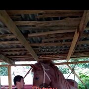 ���������� ������, ���� ������� ������, 40 ���, ������������ ��� ������, ����� � ���������