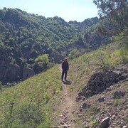 ���������� ������������, ���� ������� �����, 44 ����, ������������ ��� ������, ����� � ���������