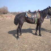 ���������� ������, ���� ������� ������, 47 ���, ������������ ��� ������, ����� � ���������