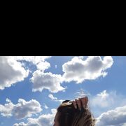 ���������� �������, ������� �����, 29