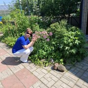 ���������� �����-���������, ���� ������� �����, 61 ���, ������������ ��� ������, ����� � ���������