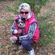  ,   , 53 ,     , 