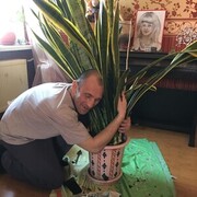 ���������� ������, ���� ������� ������, 48 ���, ������������ ��� ������, ����� � ���������