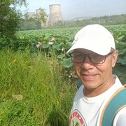 ���������� �����������, ���� ������� ���� �������, 56 ���, ������������ ��� ������, ����� � ���������, c�������� ���������