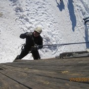 ���������� ����������-���������, ������� �������, 41