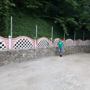 ���������� ������������, ���� ������� �������, 50 ���, ������������ ��� ������, ����� � ���������