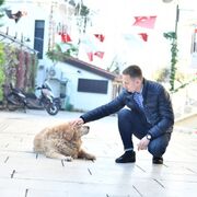 ���������� ������, ���� ������� �����, 38 ���, ������������ ��� ������, ����� � ���������