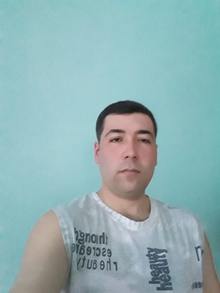  26206744  , 38 ,    