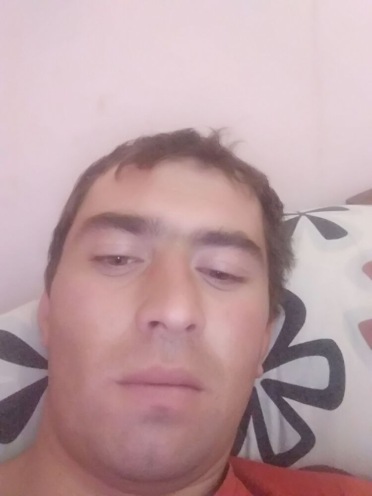  14161054  , 36 ,    