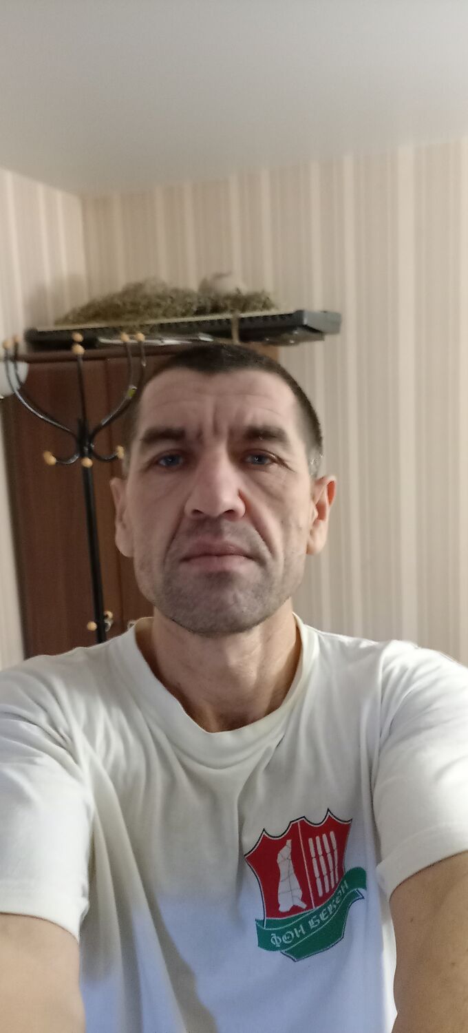  39278104   , 51 ,    