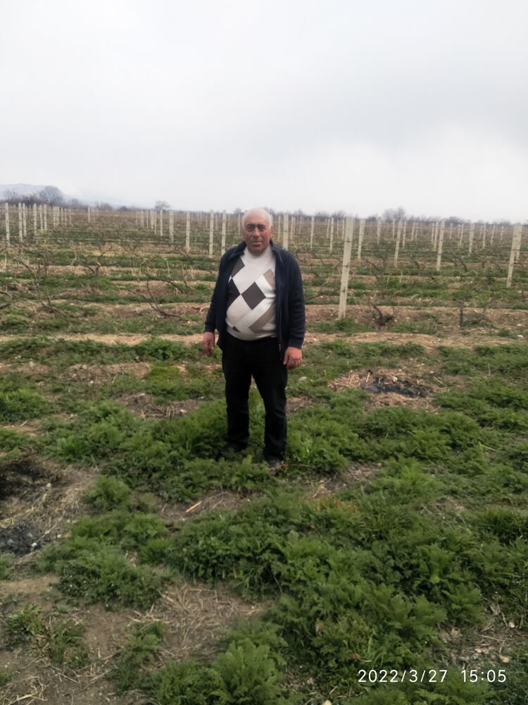 ���� 33865104 ������� ���������, 62 ����, ���� ���������� � �����-����������