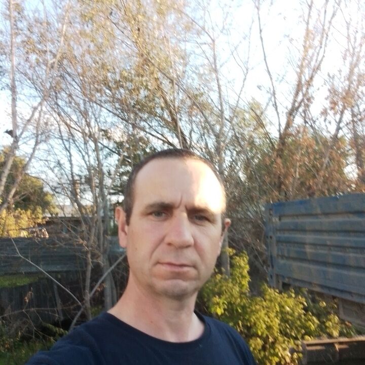  46534874  , 40 ,    
